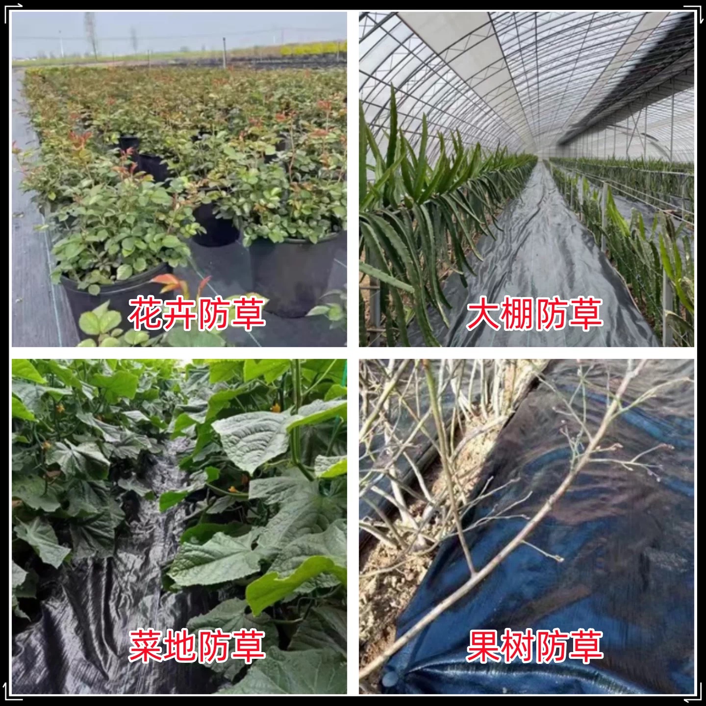 南平市黑白养殖膜防草布 - 推荐